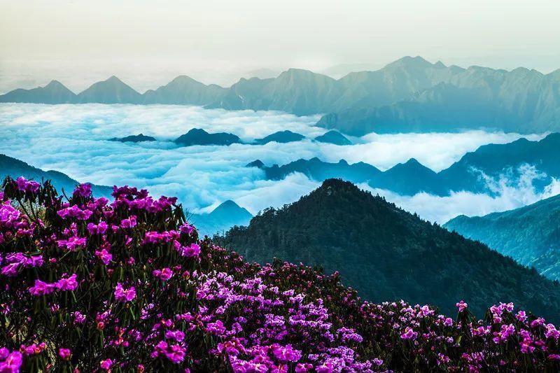 子辺是一种什么病?知识星球-专注知识分享与交流